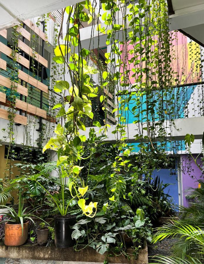 Hotel Natural เมเดยิน ภายนอก รูปภาพ