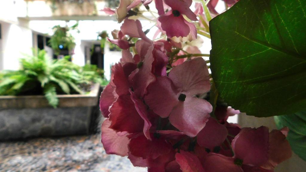 Hotel Natural เมเดยิน ภายนอก รูปภาพ