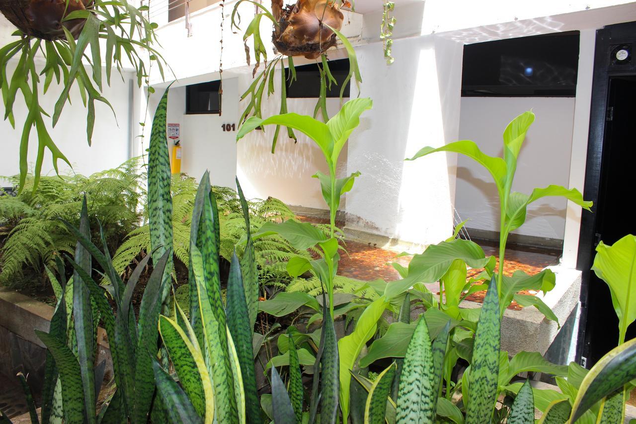 Hotel Natural เมเดยิน ภายนอก รูปภาพ