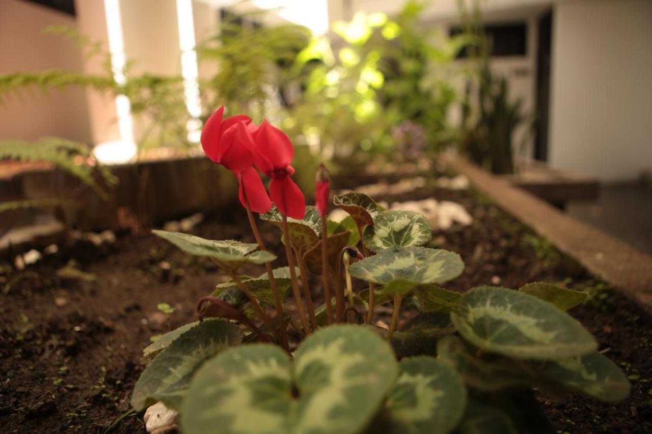 Hotel Natural เมเดยิน ภายนอก รูปภาพ
