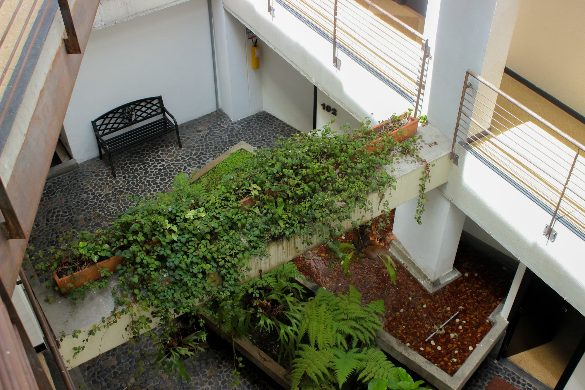 Hotel Natural เมเดยิน ภายนอก รูปภาพ