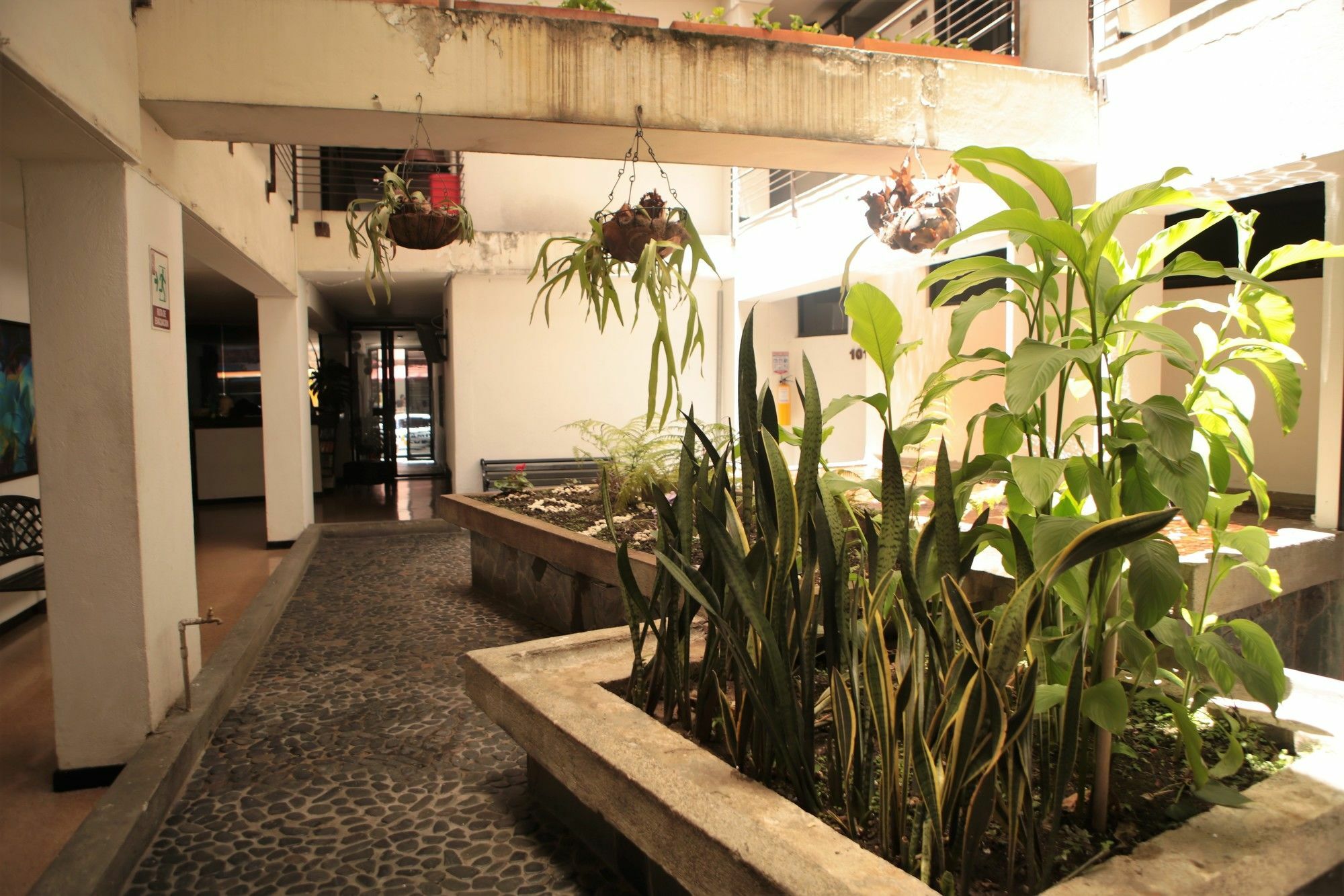 Hotel Natural เมเดยิน ภายนอก รูปภาพ